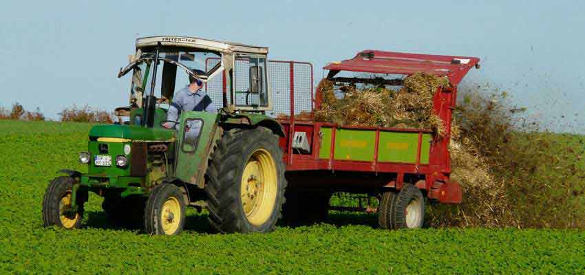 Vegetable Farm Vegetable Farm